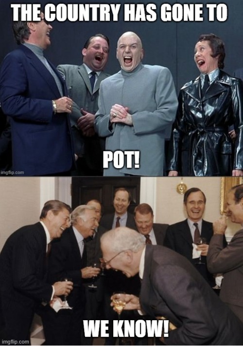 The country has gone to pot! | image tagged in 2020,election 2020,pot,marijuana | made w/ Imgflip meme maker