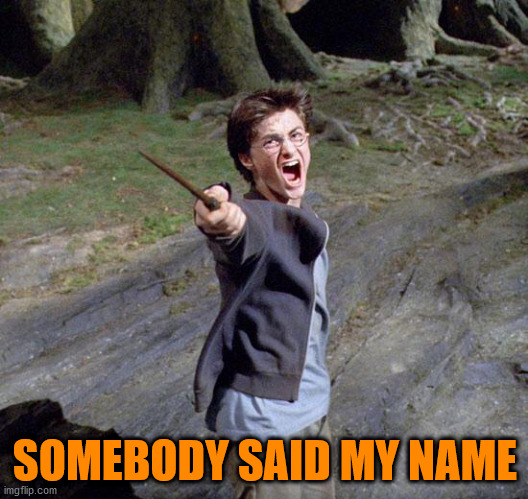 Harry potter | SOMEBODY SAID MY NAME | image tagged in harry potter | made w/ Imgflip meme maker
