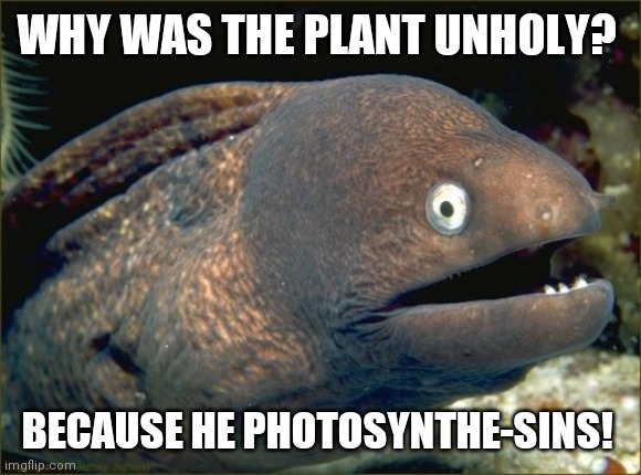 Bad Joke Eel Meme | WHY WAS THE PLANT UNHOLY? BECAUSE HE PHOTOSYNTHE-SINS! | image tagged in memes,bad joke eel | made w/ Imgflip meme maker