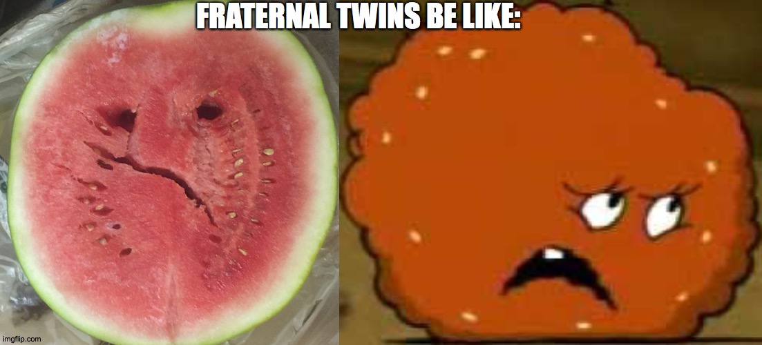 Fraternal Twins be like | FRATERNAL TWINS BE LIKE: | image tagged in grouchy melon,confused meatwad,watermelon,fraternal,twins,2020 | made w/ Imgflip meme maker