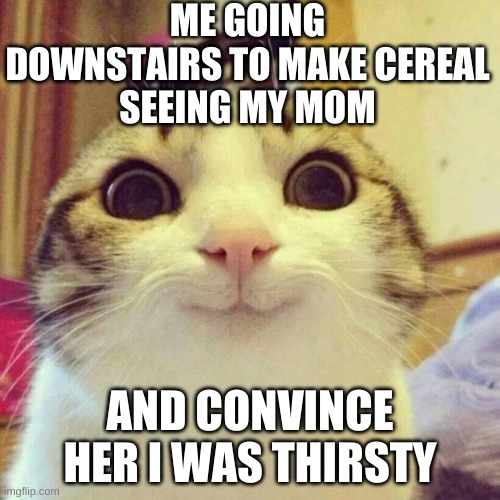 Smiling Cat | ME GOING DOWNSTAIRS TO MAKE CEREAL
SEEING MY MOM; AND CONVINCE HER I WAS THIRSTY | image tagged in memes,smiling cat | made w/ Imgflip meme maker