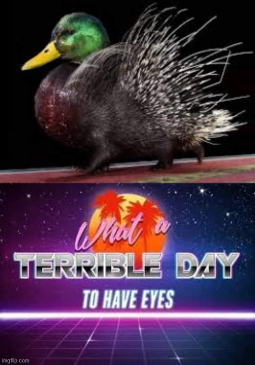 Cursed Duckupine | image tagged in what a terrible day to have eyes,memes,funny,cursed image,porcupine,animals | made w/ Imgflip meme maker