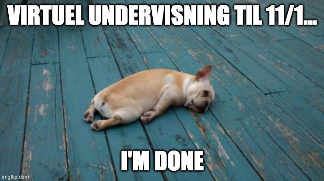tired dog |  VIRTUEL UNDERVISNING TIL 11/1... I'M DONE | image tagged in tired dog | made w/ Imgflip meme maker