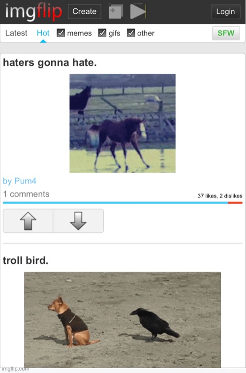 made w/ Imgflip meme maker