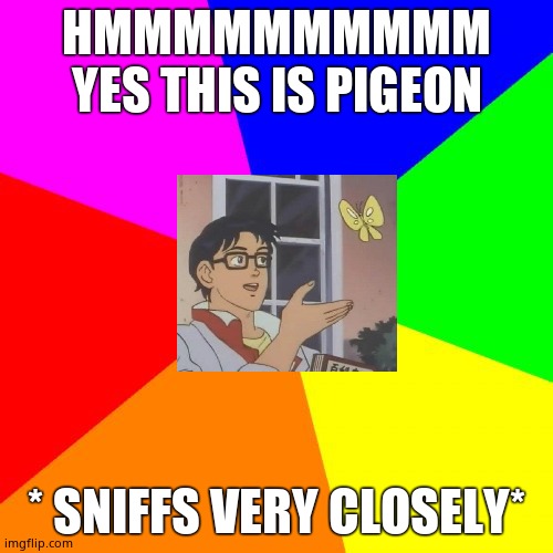 Blank Colored Background |  HMMMMMMMMMM YES THIS IS PIGEON; * SNIFFS VERY CLOSELY* | image tagged in memes,blank colored background | made w/ Imgflip meme maker