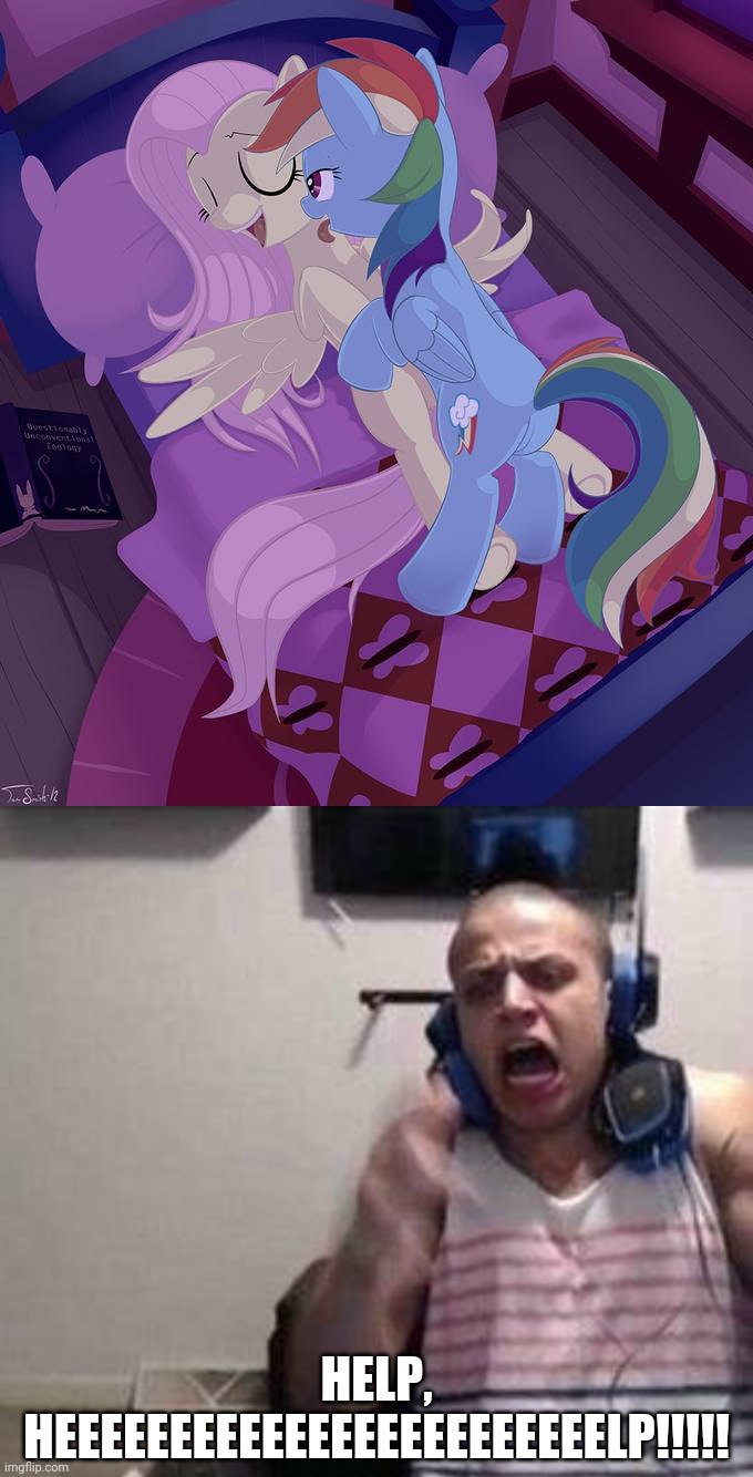 help | HELP, HEEEEEEEEEEEEEEEEEEEEEEEELP!!!!! | image tagged in saucy flutterdash,tyler 1 screaming | made w/ Imgflip meme maker