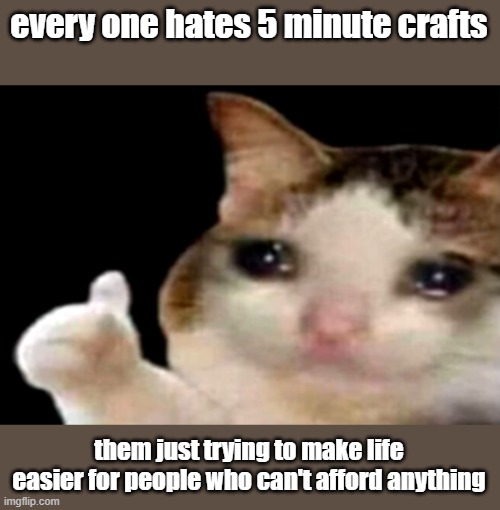 its true | every one hates 5 minute crafts; them just trying to make life easier for people who can't afford anything | image tagged in sad cat thumbs up | made w/ Imgflip meme maker