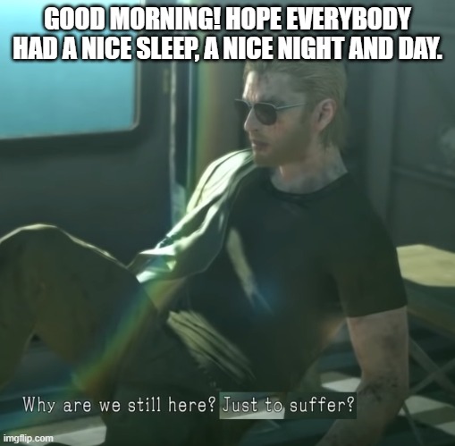Why are we here? | GOOD MORNING! HOPE EVERYBODY HAD A NICE SLEEP, A NICE NIGHT AND DAY. | image tagged in why are we here | made w/ Imgflip meme maker