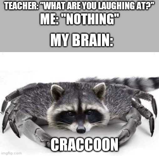 What are you laughing at? | TEACHER: "WHAT ARE YOU LAUGHING AT?"; ME: "NOTHING"; MY BRAIN:; CRACCOON | image tagged in my brain,nothing,funny,funny memes,funny meme,brimmuthafukinstone | made w/ Imgflip meme maker