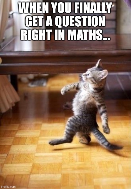 Cool Cat Stroll Meme | WHEN YOU FINALLY GET A QUESTION RIGHT IN MATHS... | image tagged in memes,cool cat stroll | made w/ Imgflip meme maker
