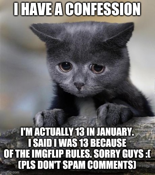 As far as everyone is concerned, nothing changed. B-day is 11 jan | I HAVE A CONFESSION; I'M ACTUALLY 13 IN JANUARY. I SAID I WAS 13 BECAUSE OF THE IMGFLIP RULES. SORRY GUYS :(
(PLS DON'T SPAM COMMENTS) | image tagged in confession cat | made w/ Imgflip meme maker