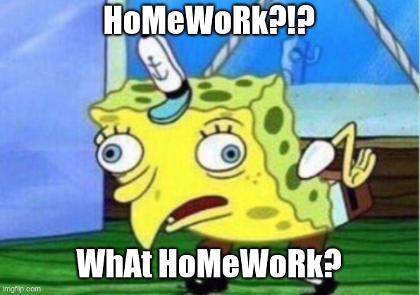 Mocking Spongebob Meme | HoMeWoRk?!? WhAt HoMeWoRk? | image tagged in memes,mocking spongebob | made w/ Imgflip meme maker