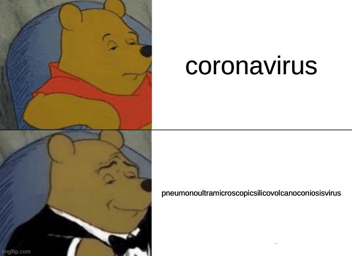 Tuxedo Winnie The Pooh | coronavirus; pneumonoultramicroscopicsilicovolcanoconiosisvirus | image tagged in memes,tuxedo winnie the pooh | made w/ Imgflip meme maker