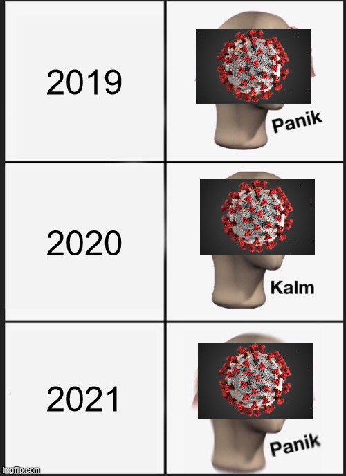 covid be like in 2019, 2020, 2021 | 2019; 2020; 2021 | image tagged in memes,panik kalm panik | made w/ Imgflip meme maker