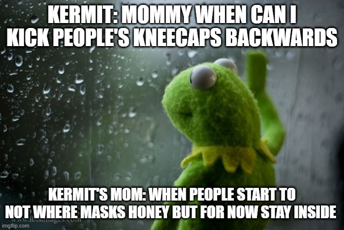 Kermit wants to kick people's kneecap's backwards | KERMIT: MOMMY WHEN CAN I KICK PEOPLE'S KNEECAPS BACKWARDS; KERMIT'S MOM: WHEN PEOPLE START TO NOT WHERE MASKS HONEY BUT FOR NOW STAY INSIDE | image tagged in kermit window | made w/ Imgflip meme maker