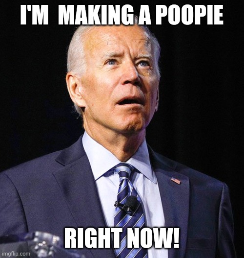 Joe Biden | I'M  MAKING A POOPIE; RIGHT NOW! | image tagged in joe biden | made w/ Imgflip meme maker