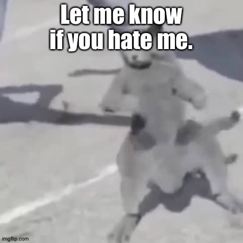 No, I'm not trying to make a trend. | Let me know if you hate me. | image tagged in cat nae nae | made w/ Imgflip meme maker