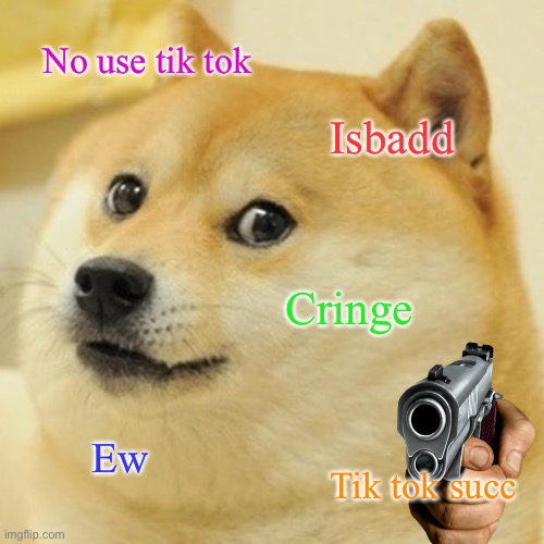 Doge against tik tok | No use tik tok; Isbadd; Cringe; Ew; Tik tok succ | image tagged in memes,doge | made w/ Imgflip meme maker