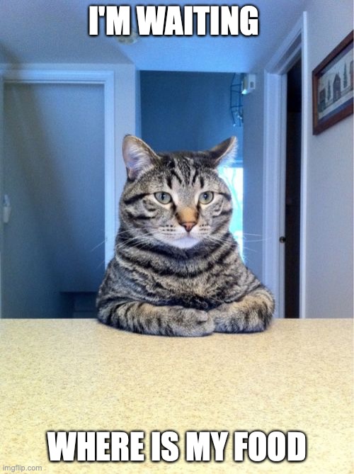Take A Seat Cat | I'M WAITING; WHERE IS MY FOOD | image tagged in memes,take a seat cat | made w/ Imgflip meme maker