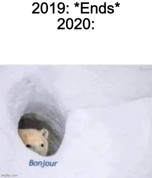 2020 and coronavirus be like that | 2019: *Ends*
2020: | image tagged in bonjour | made w/ Imgflip meme maker