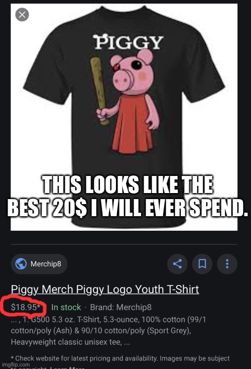 MINITOOOOOOOOON | THIS LOOKS LIKE THE BEST 20$ I WILL EVER SPEND. | image tagged in minitoon | made w/ Imgflip meme maker