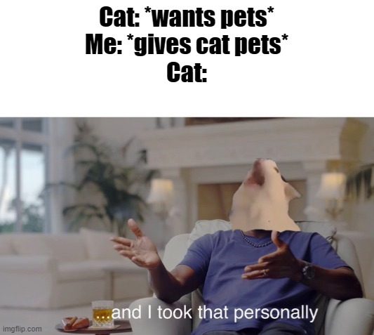 me_irl | Cat: *wants pets*
Me: *gives cat pets*
Cat: | image tagged in and i took that personally,me_irl,cats | made w/ Imgflip meme maker