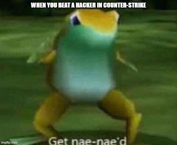 Get nae-nae'd | WHEN YOU BEAT A HACKER IN COUNTER-STRIKE | image tagged in get nae-nae'd | made w/ Imgflip meme maker