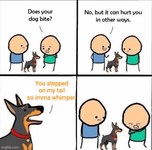 does your dog bite | You stepped on my tail so imma whimper | image tagged in does your dog bite | made w/ Imgflip meme maker