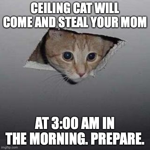 Ceiling Cat | CEILING CAT WILL COME AND STEAL YOUR MOM; AT 3:00 AM IN THE MORNING. PREPARE. | image tagged in memes,ceiling cat | made w/ Imgflip meme maker