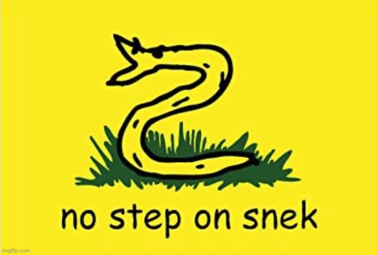 No step on snek | image tagged in no ste,step,on the snake,dietssk | made w/ Imgflip meme maker