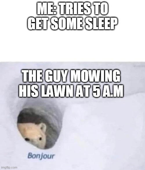 Bonjour | ME: TRIES TO GET SOME SLEEP; THE GUY MOWING HIS LAWN AT 5 A.M | image tagged in bonjour | made w/ Imgflip meme maker