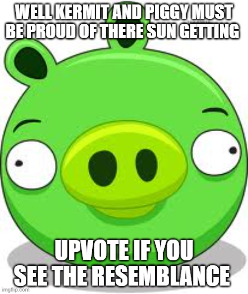 Angry Birds Pig | WELL KERMIT AND PIGGY MUST BE PROUD OF THERE SUN GETTING; UPVOTE IF YOU SEE THE RESEMBLANCE | image tagged in memes,angry birds pig,muppets,kermit the frog,miss piggy,upvote if you agree | made w/ Imgflip meme maker