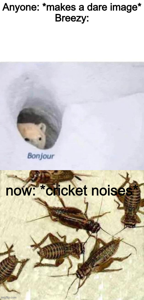You Will Be Missed | Anyone: *makes a dare image*
Breezy:; now: *cricket noises* | image tagged in bonjour,crickets | made w/ Imgflip meme maker