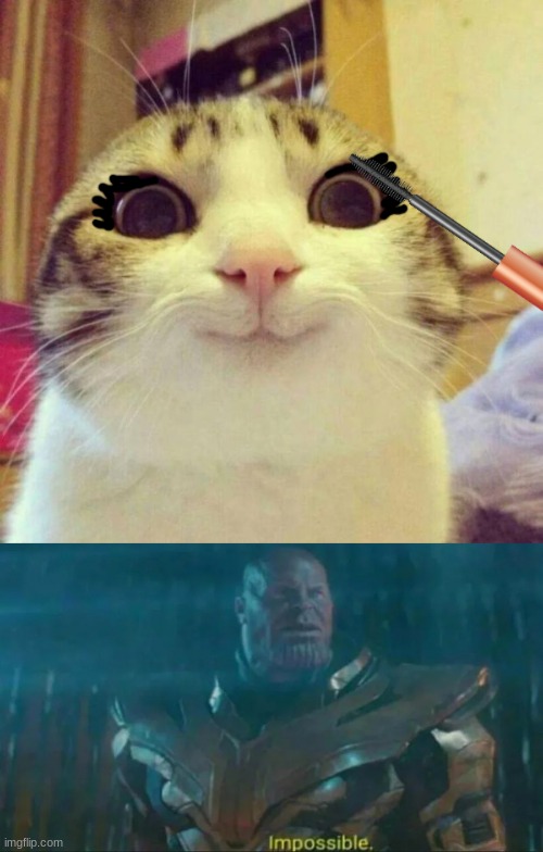 image tagged in thanos impossible | made w/ Imgflip meme maker