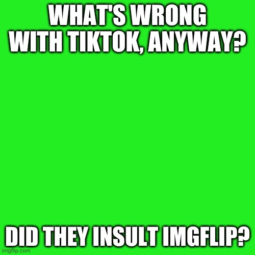 TIktok why bad? | WHAT'S WRONG WITH TIKTOK, ANYWAY? DID THEY INSULT IMGFLIP? | image tagged in memes,blank transparent square | made w/ Imgflip meme maker