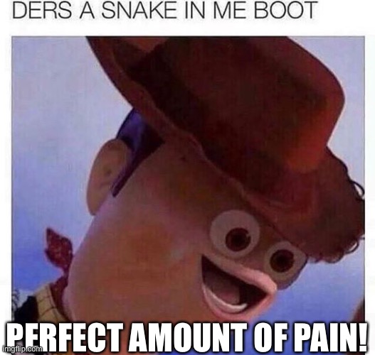 Yay! I’m gonna die! | PERFECT AMOUNT OF PAIN! | image tagged in yeet,woody,face,funny,unlucky | made w/ Imgflip meme maker