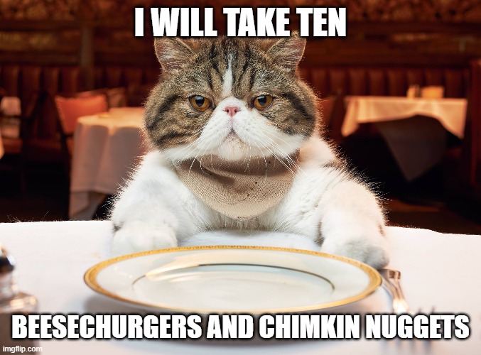 hungry cat | I WILL TAKE TEN BEESECHURGERS AND CHIMKIN NUGGETS | image tagged in hungry cat | made w/ Imgflip meme maker