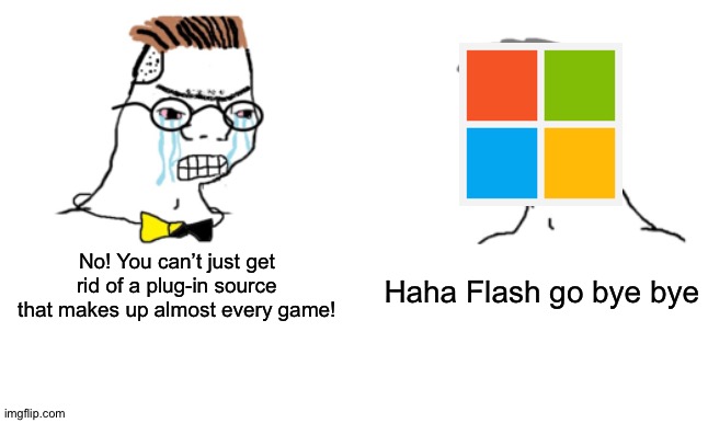 I heard Flash is getting replaced though | Haha Flash go bye bye; No! You can’t just get rid of a plug-in source that makes up almost every game! | image tagged in no you cant just | made w/ Imgflip meme maker