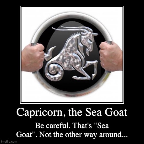 Capricorn | image tagged in funny,demotivationals,capricorn,astrology | made w/ Imgflip demotivational maker