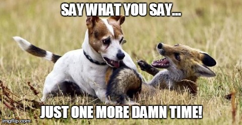What the Fox didn't say | image tagged in memes,animals,what does the fox say | made w/ Imgflip meme maker