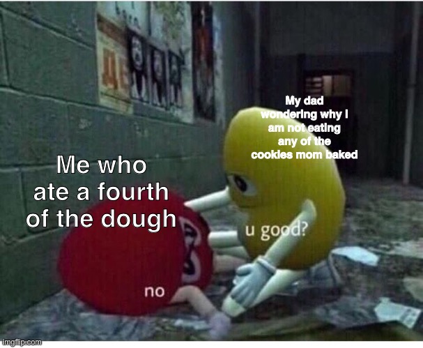 U Good No | My dad wondering why i am not eating any of the cookies mom baked; Me who ate a fourth of the dough | image tagged in u good no | made w/ Imgflip meme maker