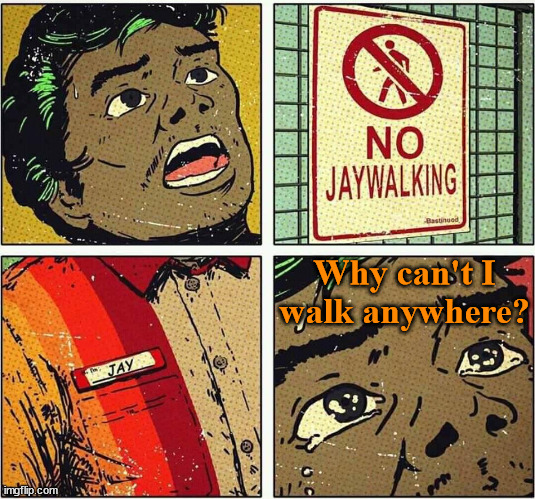 Why are they picking on Jay? | Why can't I walk anywhere? | image tagged in comics/cartoons | made w/ Imgflip meme maker