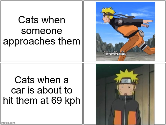 smack* | Cats when someone approaches them; Cats when a car is about to hit them at 69 kph | image tagged in cats,bruh,f,memes,animeme,naruto | made w/ Imgflip meme maker