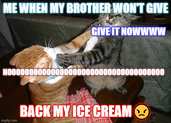 Two cats fighting for real | ME WHEN MY BROTHER WON'T GIVE; GIVE IT NOWWWW; NOOOOOOOOOOOOOOOOOOOOOOOOOOOOOOOOOOOO; BACK MY ICE CREAM😠 | image tagged in two cats fighting for real | made w/ Imgflip meme maker