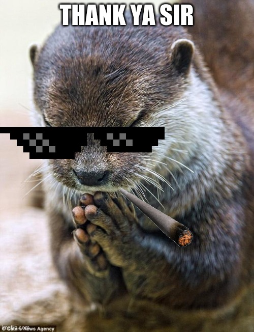 Thank you Lord Otter | THANK YA SIR | image tagged in thank you lord otter | made w/ Imgflip meme maker