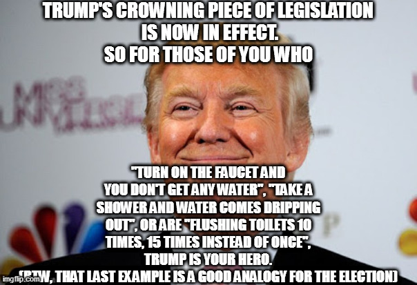 Donald trump approves | TRUMP'S CROWNING PIECE OF LEGISLATION
 IS NOW IN EFFECT.
SO FOR THOSE OF YOU WHO; "TURN ON THE FAUCET AND YOU DON'T GET ANY WATER", "TAKE A SHOWER AND WATER COMES DRIPPING OUT", OR ARE "FLUSHING TOILETS 10 TIMES, 15 TIMES INSTEAD OF ONCE", TRUMP IS YOUR HERO.
(BTW, THAT LAST EXAMPLE IS A GOOD ANALOGY FOR THE ELECTION) | image tagged in loser trump,trump fights non-existent problem,flush trump | made w/ Imgflip meme maker
