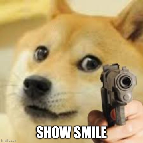 Please smile | SHOW SMILE | image tagged in doge | made w/ Imgflip meme maker