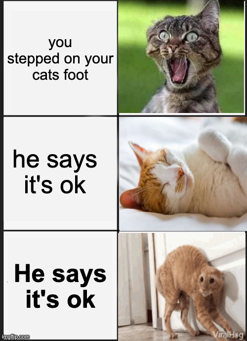 Panik Kalm Panik Meme | you stepped on your cats foot; he says it's ok; He says it's ok | image tagged in memes,panik kalm panik | made w/ Imgflip meme maker