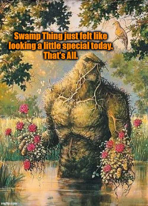Swamp Thing just felt like
looking a little special today.
That's All. | made w/ Imgflip meme maker