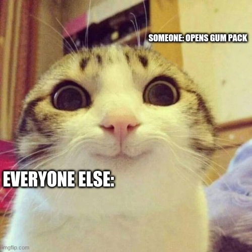 SAY GOODBYE TO YOUR GUM | SOMEONE: OPENS GUM PACK; EVERYONE ELSE: | image tagged in memes,smiling cat,reality,sad but true | made w/ Imgflip meme maker